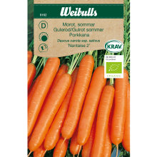 Gulerod, sommer 'Nantaise 2' økologisk